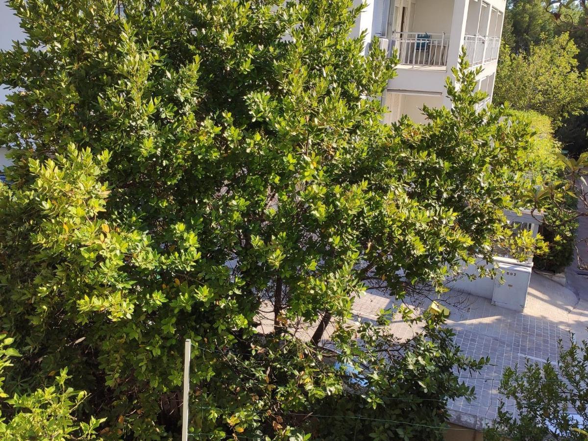 Apartments Ivo ماكارسكا المظهر الخارجي الصورة